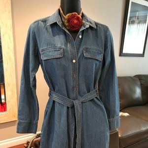 Denim Banana Republic Shirtdress